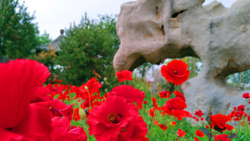園藝花草
