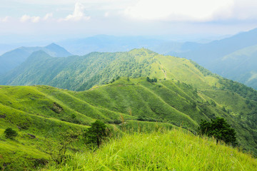 高山草場