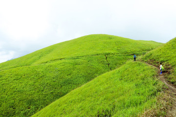 高山草場