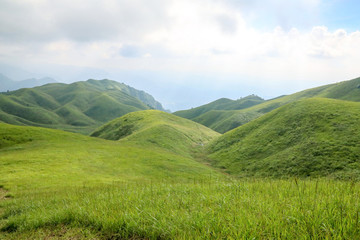 高山草場
