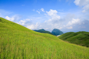 高山草場