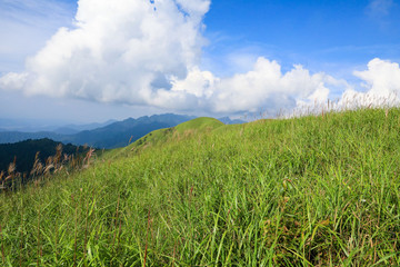 高山草場(chǎng)