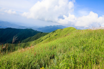高山草場(chǎng)