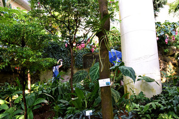 香港公園