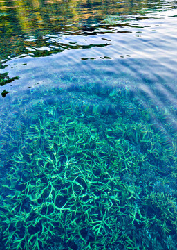 海水