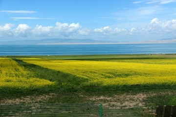 青海湖風(fēng)景