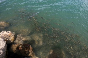青海湖風(fēng)景