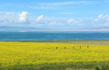青海湖風景