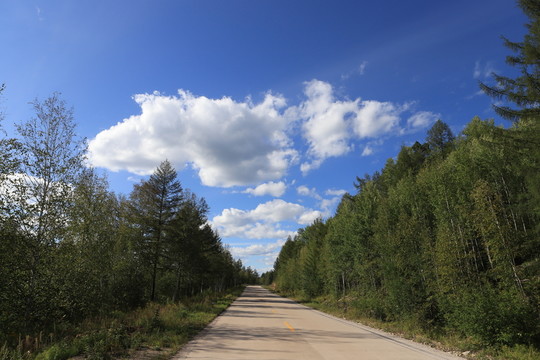 大興安嶺的林區(qū)路