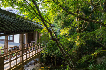寺廟園林