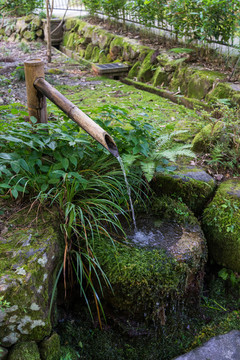 日本寺廟清水寺