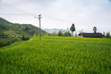 山區(qū)早晨