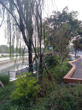 府南河景觀