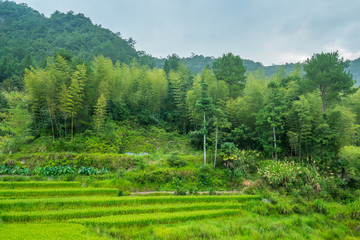 山區(qū)早晨