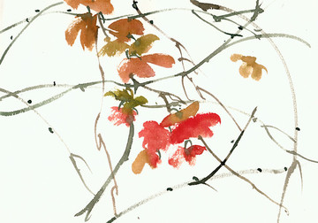紅葉