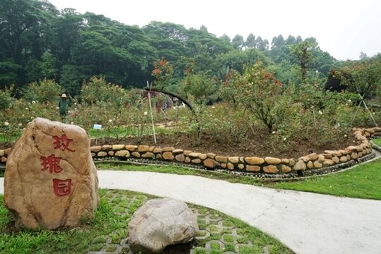 玫瑰花園