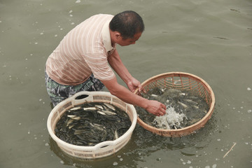 魚類捕撈