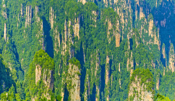 天子山全景圖