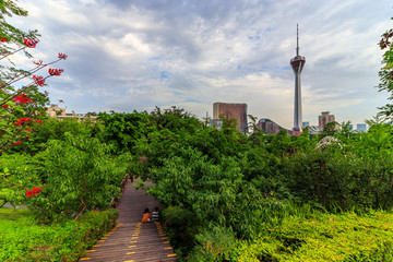 成華公園
