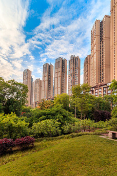 高層住宅樓