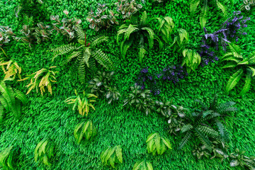 綠植墻