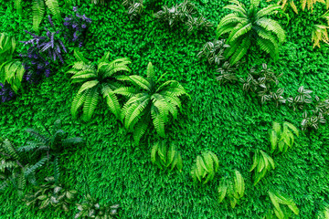 綠色植物背景素材