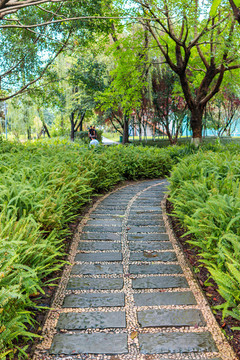 樹林小路