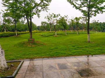 校園
