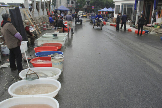 太湖邊賣(mài)水產(chǎn)