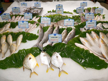 賣魚(yú)檔