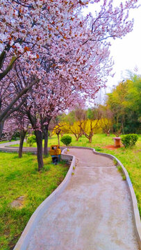 春天公園