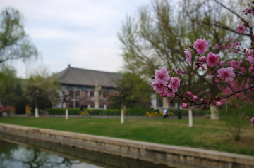 外國語學(xué)院景色