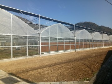 香菇大棚