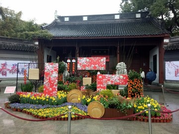 迎春裝飾