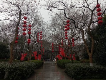 春節(jié)裝飾