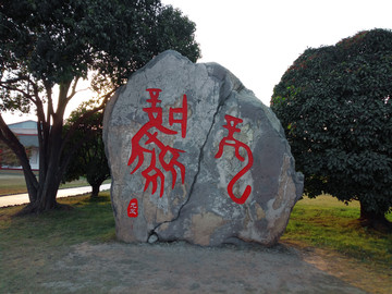 甲骨文龍鳳