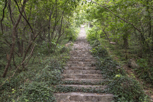 南京原點登山道