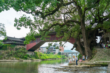 泰順廊橋