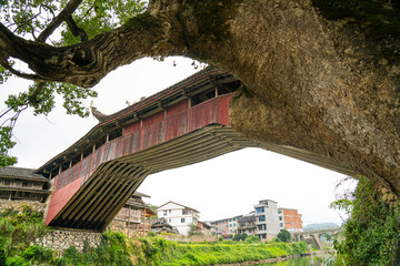 泰順廊橋