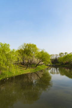 溪水河流