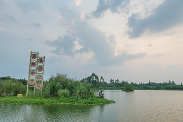 濕地公園花卉蘆葦水面