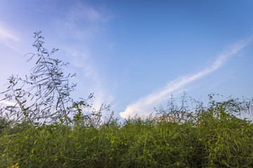 自然風(fēng)景天空云彩