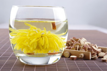 金絲皇菊