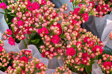 紅色小花