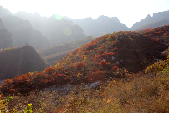 坡峰嶺