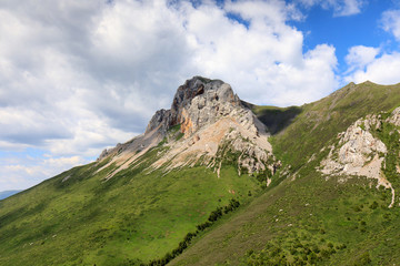 川西風(fēng)光甘孜縣奶龍山