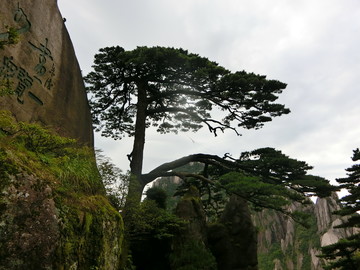 黃山