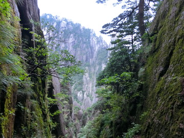 黃山