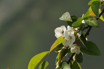春暖花開