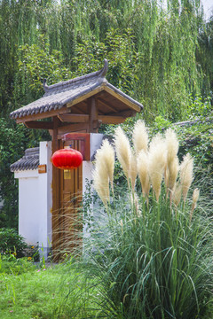 農(nóng)家院落